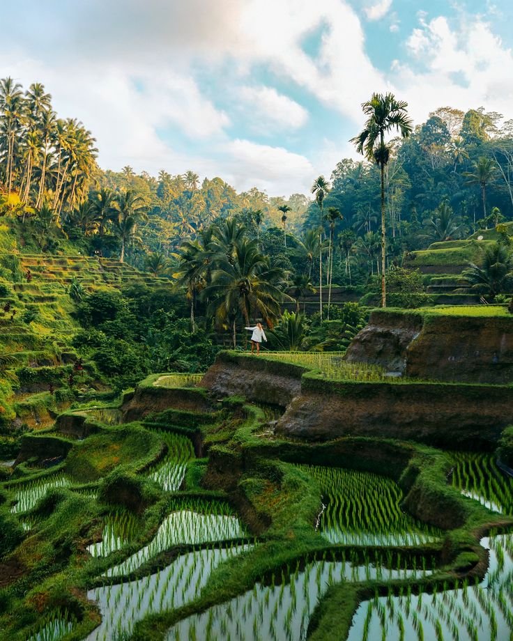 Ubud Cultural Highlights Private Day Tour